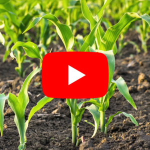 Agrimodis App on YouTube
